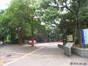 N3���j�e�@�f�U�C�i�[�Y�}���V����