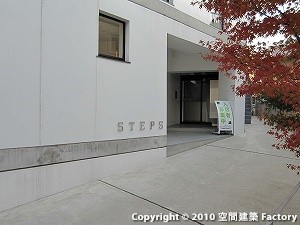 STEPS