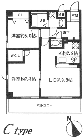 Cタイプ