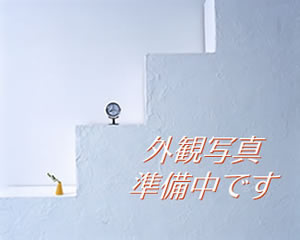 ZESTY����