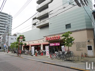 ピーコック 石川台店