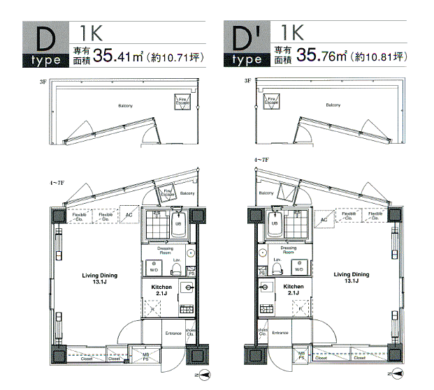 D・D’タイプ