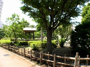 公園