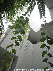 マンション外観