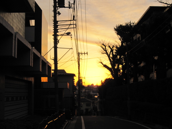 夕日