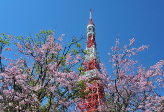 東京タワー