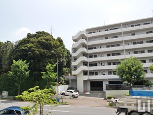 眺め