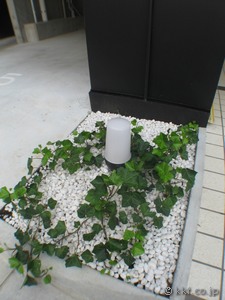 植栽