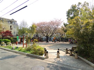 公園