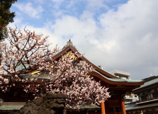 湯島天満宮