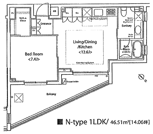 Nタイプ