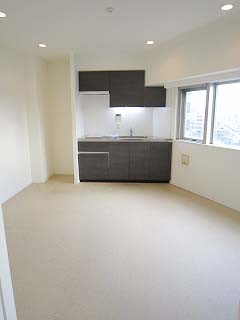 1102室内写真　KDXレジデンス西麻布