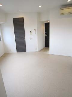 1102室内写真　KDXレジデンス西麻布