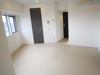 1102室内写真　KDXレジデンス西麻布