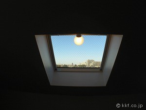 �V������̕��i
