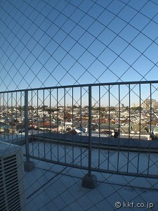 �o���R�j�[
