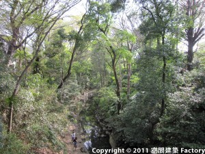 等々力渓谷公園