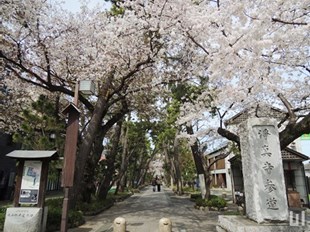 浄真寺