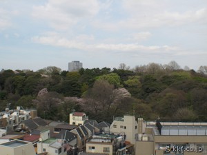 景色