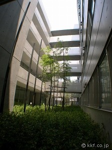 中庭