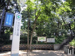 林試の森公園