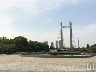 木場公園