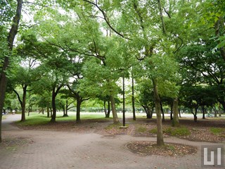 清澄公園