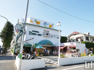 ナショナル田園