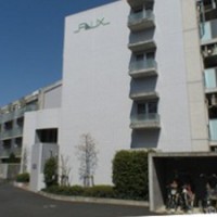 フラックス206