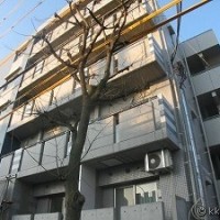 THEパームス田園調布