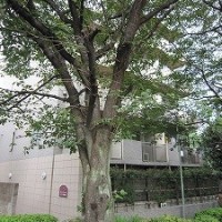 スリジエ田園調布